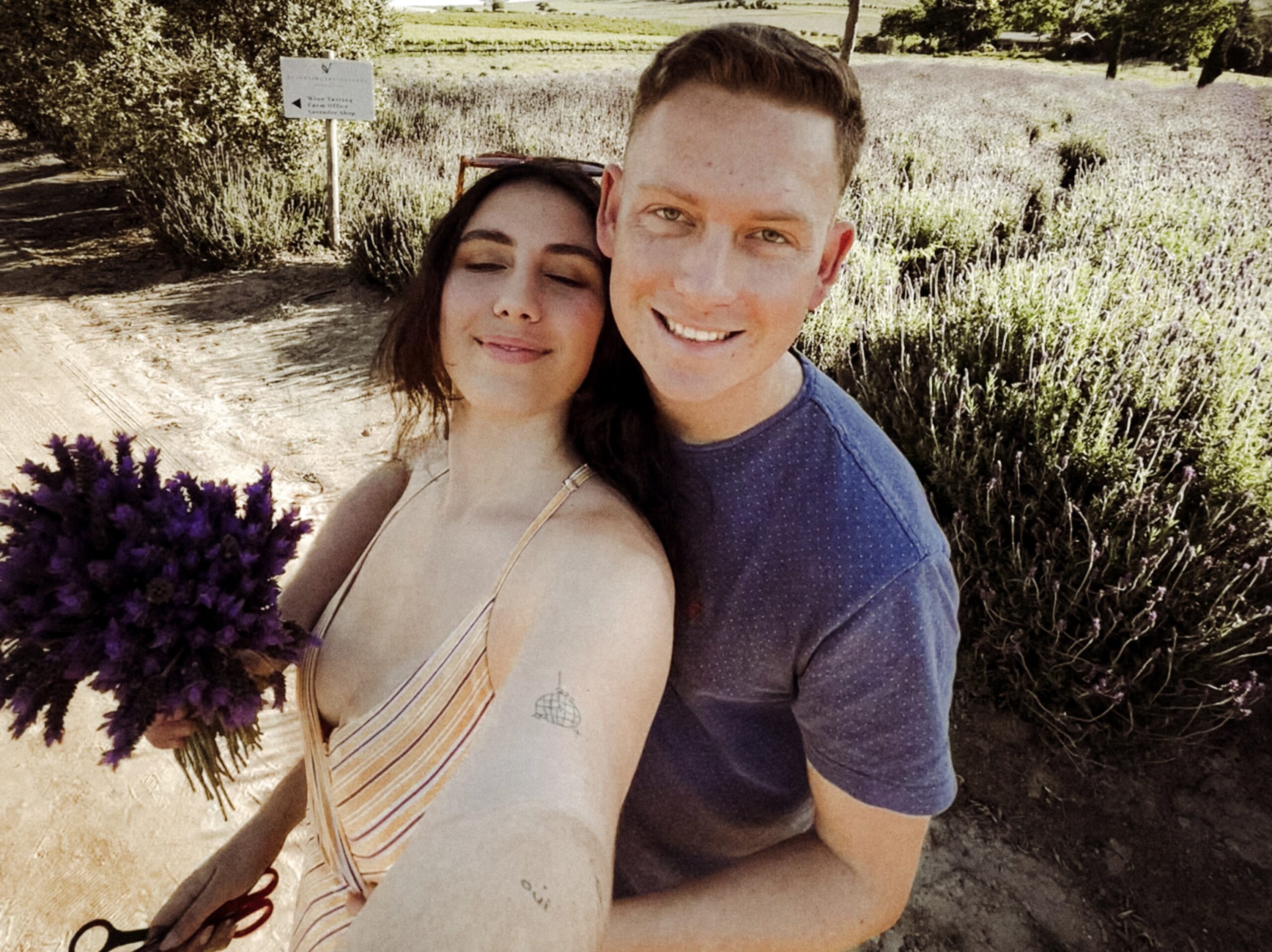 lavender picking stellenbosch